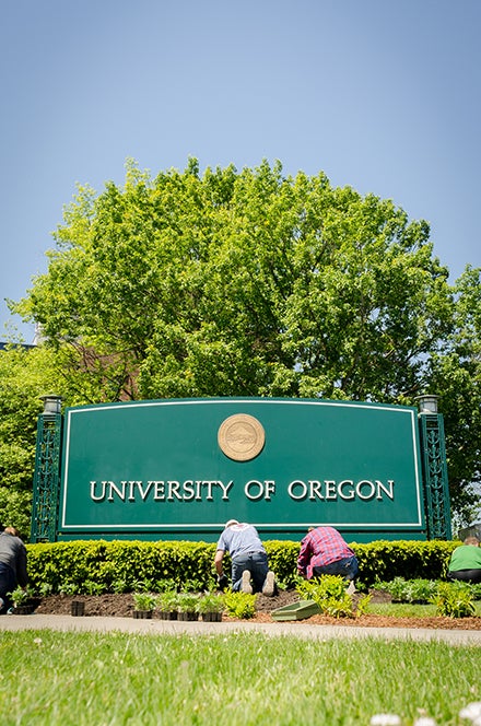 Students remove weeds below the UO entry sign