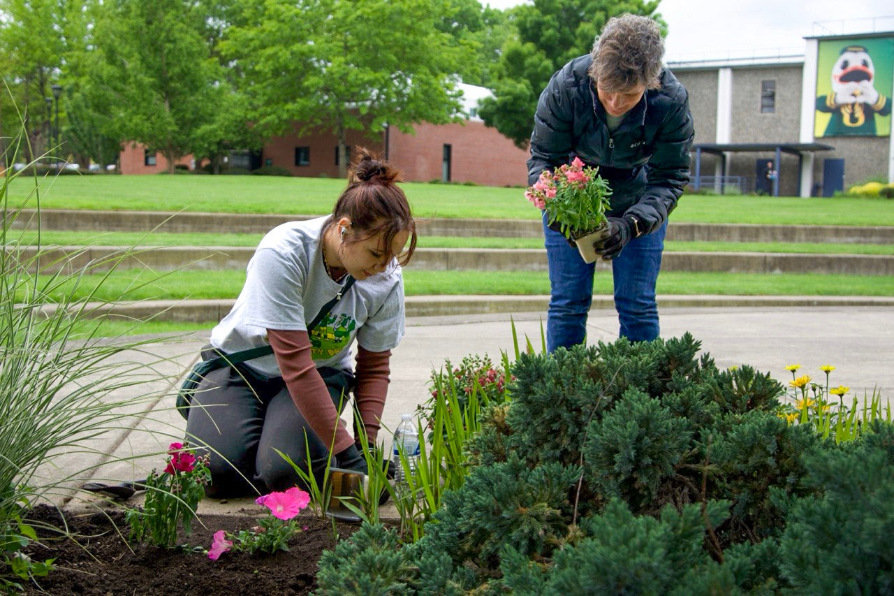 Two volunteers plant flowers for University Day on the Portland campus.