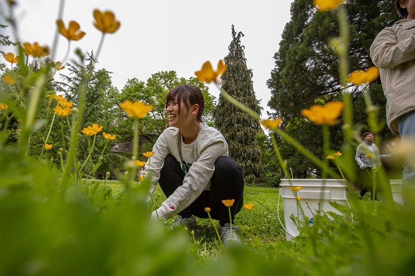 University Day student volunteer