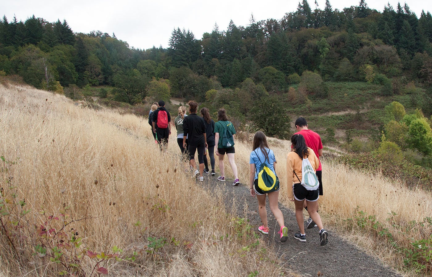 A group of student hiking on Mount Pisgah.
