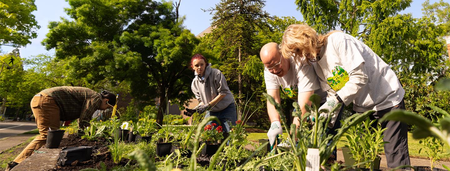 Students planting new plants on University day.